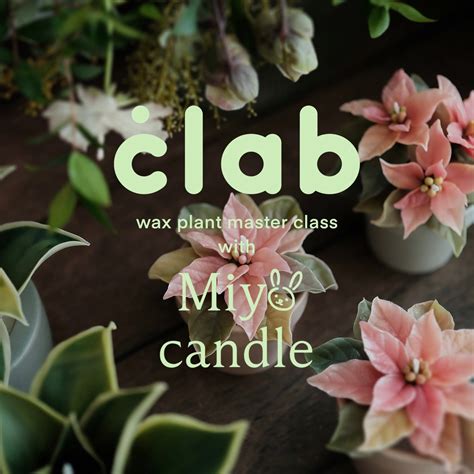 蠟燭照|CLAB Wax Plant Candle 植物蠟燭一日證照課（2022。